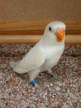 FISHCER AZUL PASTEL LF INO 50 € 23.03.2008